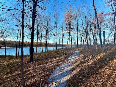 TBD NW Turtle Ln, Walker, MN 56484 - photo 7