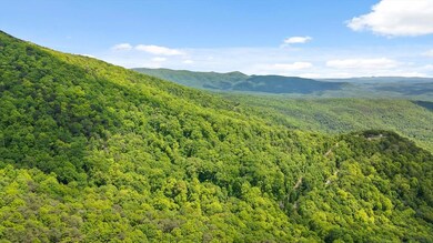 0 Highway 52 unit 415667, Chatsworth, GA 30705 - photo 2