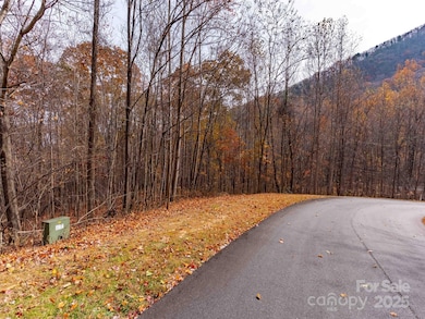 Lot 2110 Harm Creek Loop, Mill Spring, NC 28756 - photo 7