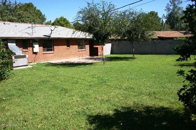 back yard