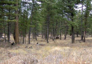 168 Torto Loop, Kila, MT 59920 - photo 7