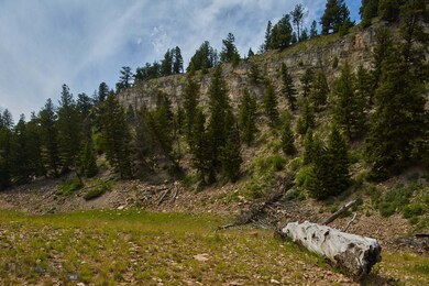 42 & 43 Big Ez Estates Rd, Big Sky, MT 59716 - photo 4