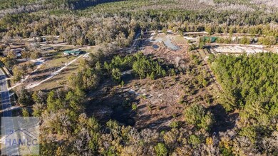 12 Acres Raybon Rd E, Nahunta, GA 31553 - photo 5