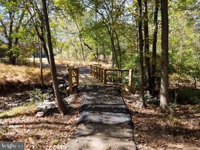 13226 Coralberry Dr, Fairfax, VA 22033 - photo 5