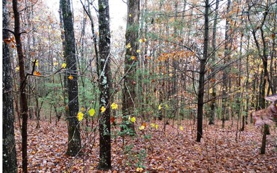 LT 48 D j Ln, Ellijay, GA 30540 - photo 2