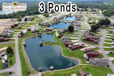 24 County Road 2041, Crane Hill, AL 35053 - photo 2