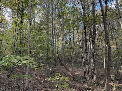 000 County Road 616, Athens, TN 37303 - photo 7