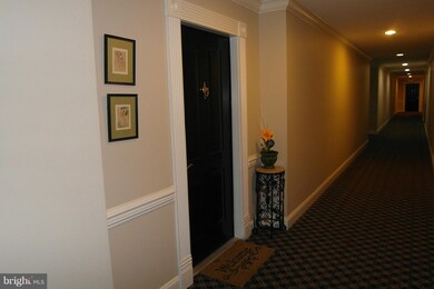 4800 Coyle Rd unit 101, Owings Mills, MD 21117 - photo 4