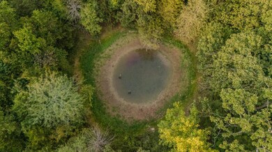 1755 State Hwy O- Tract C, Kissee Mills, MO 65680 - photo 7