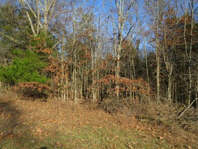View of nature