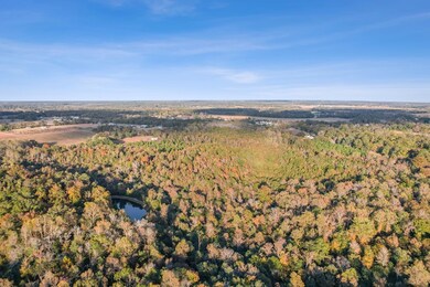 71.73 acres County Road 203, Dothan, AL 36301 - photo 6