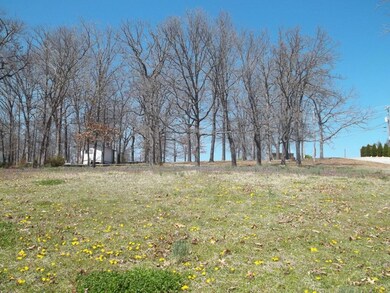Lot 3 Breezy Point Ln, Ruth B Rural Township, MO 65686 - photo 7