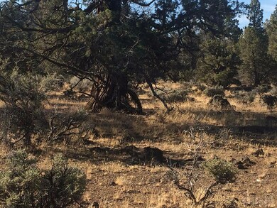 65541 Tweed Rd, Bend, OR 97703 - photo 7