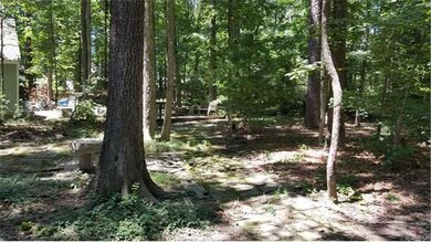 Large backyard