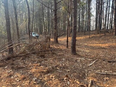 0 Stella Lockard Rd, Cordova, AL 35550 - photo 6