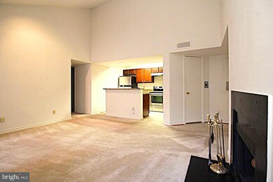 3902 Penderview Dr unit 1423, Fairfax, VA 22033 - photo 4