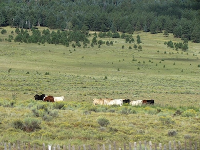 27989 U S Highway 64, Eagle Nest, NM 87718 - photo 2