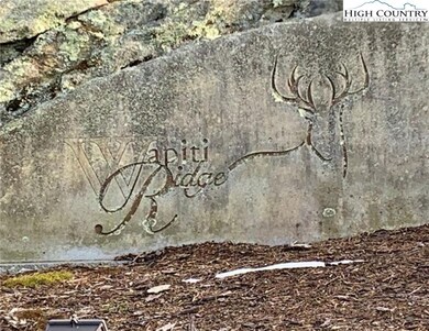 TBD Wapiti Way, Blowing Rock, NC 28605 - photo 2