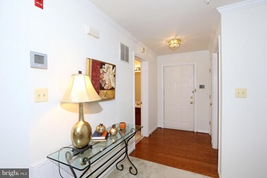 13201 Cloppers Mill Dr unit 11-H, Germantown, MD 20874 - photo 3