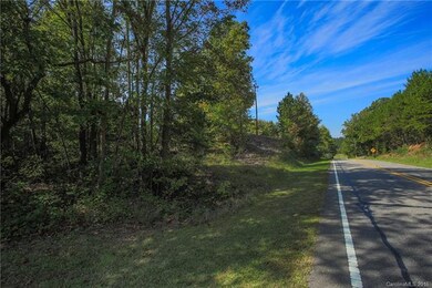 This tract includes 460 feet of road frontage.