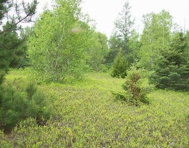 Land.