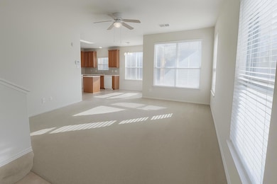 801 Hank Aaron, Round Rock, TX 78665 - photo 4