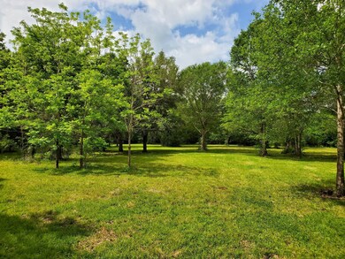 0 County Road 461 Off Nar, Brazoria, TX 77422 - photo 6