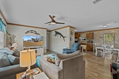 517 Highway 51 NE, Steinhatchee, FL 32359 - photo 4