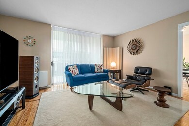 Imperial Towers unit 313, Chestnut Hill, MA 02467 - photo 3