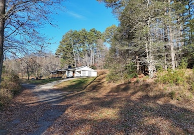 60 Weaver Creek Rd, Blue Ridge, GA 30513 - photo 2