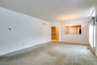 1111 Lake Meadow Ln, Brunswick, OH 44212 - photo 6