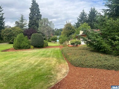 In ground sprinklers have kept the lawn and shrubs