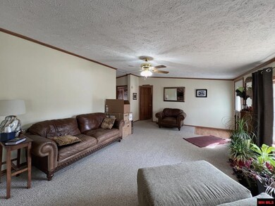 80 Country Oaks Dr, Elizabeth, AR 72531 - photo 5