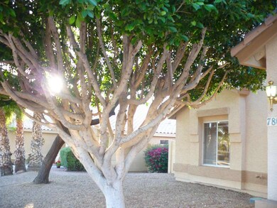 7804 E Dover St, Mesa, AZ 85207 - photo 3