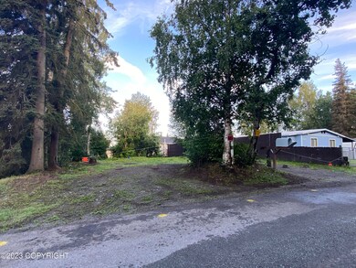 IMG-3653