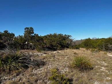 22616 Los Altos Ln, San Antonio, TX 78255 - photo 6