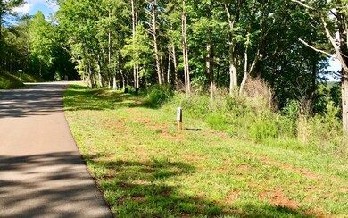 Additional View