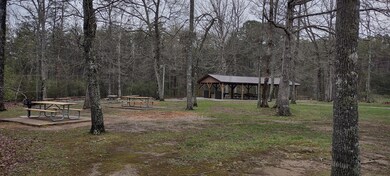 IMG_20240410_154906475_HDR