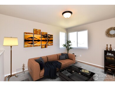 2428 Dandelion Ln, Johnstown, CO 80534 - photo 6