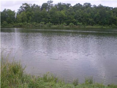 Pond in back