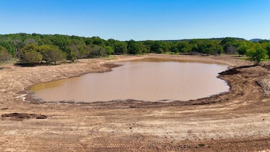 Fm 175, Antelope, TX 76458 - photo 6