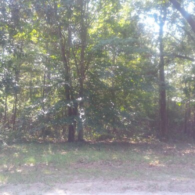 woods across from frontgate