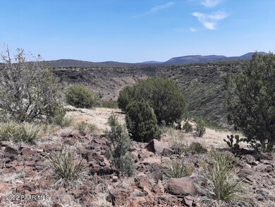 118 Juniperwood Ranch, Ash Fork, AZ 86320 - photo 6