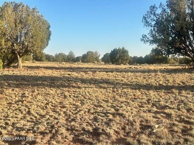 349sw Rocky Top Rd, Seligman, AZ 86337 - photo 5