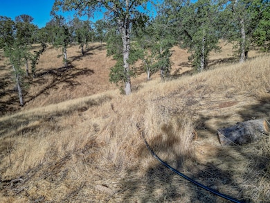 16300 Ranchero Dr, Red Bluff, CA 96080 - photo 7