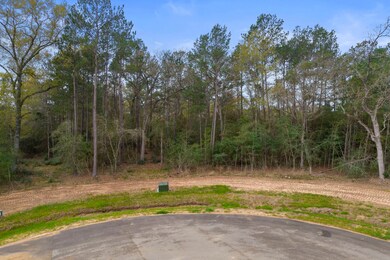 Property street view in the culs-de-sac