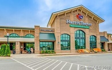 19776 Playwrights Way, Cornelius, NC 28031 - photo 4