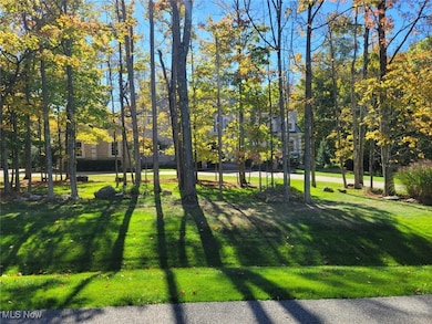 4466 Forest Brooke Ct N, Richfield, OH 44286 - photo 3