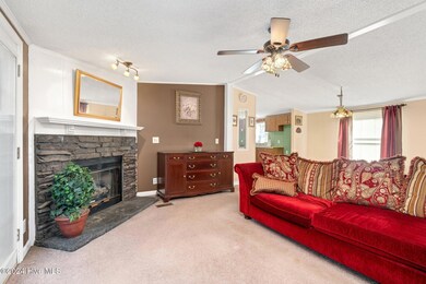 Family room Fireplace