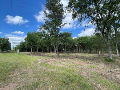 Tract 5 Farm To Market 362, Waller, TX 77484 - photo 7